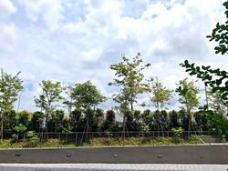 The Botany At Dairy Farm (D23), Condominium #539294401